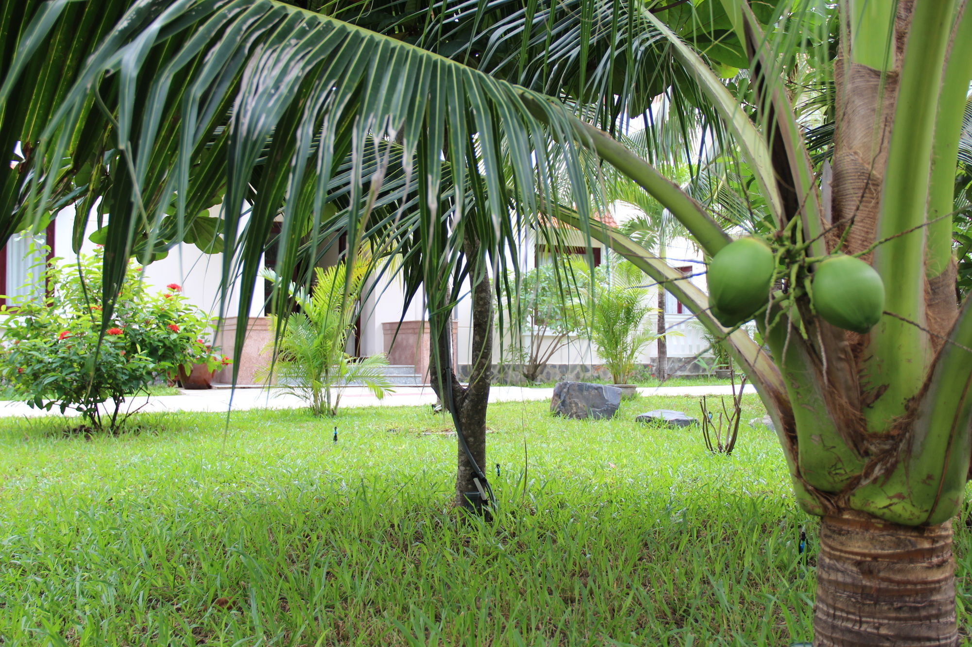 Gm Doc Let Beach Resort & Spa Ninh Hoa Exterior photo